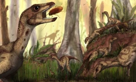 Ảnh: ibtimes.co.uk