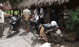 Tại hiện trường, 2 con chó vừa bị đánh bã vẫn còn nằm trên chiếc xe gắn máy của Trần Thanh Hoài 
