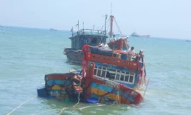 Thời gian qua nhiều tàu cá của ngư dân Lý Sơn liên tục bị tàu lạ đâm chìm khi đang hành nghề trên biển