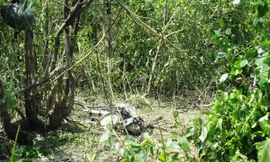 Cưa đầu đạn, hai người chết không toàn thây