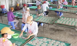 Chế biến cá khô ở xã Bình Thắng. Ảnh: Ngọc Huyền 