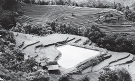 Ao hình trái tim trên vùng cao Thèn Phàng (Xín Mần). Ảnh: Trường phong