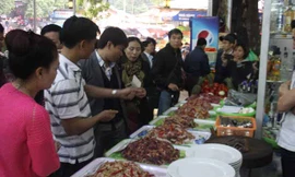  Đoàn liên ngành kiểm tra tại chùa Hương