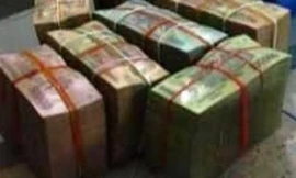 Người phụ nữ bị cướp 100 triệu giữa cánh đồng