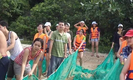 Bùng nổ du lịch tự phát ở cửa vịnh Cam Ranh