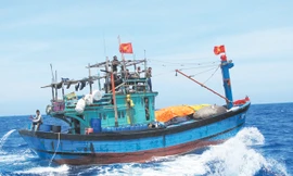 Cờ Tổ quốc tung bay giữa Hoàng Sa. Ảnh: Nam Cường 