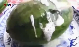 Thực hư dưa hấu sủi bọt trắng gây hoang mang