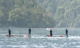 Lo cho Lồng Tồng 