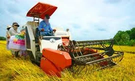 Đẩy nhanh cơ giới hóa trong sản xuất lúa