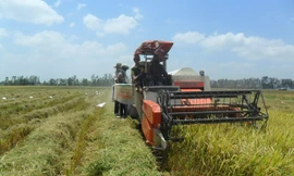 Chiếc máy GĐLH của anh Nguyễn Văn Hảo trên đồng