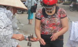 Quả vải Trung Quốc xuất hiện ở Việt Nam