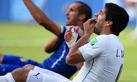 'Nạn nhân' Giorgio Chiellini nói gì về lời xin lỗi của Suarez?