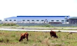 Dân “phá rào” vì chờ quy hoạch