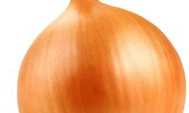 Dinh dưỡng từ những thứ bỏ đi