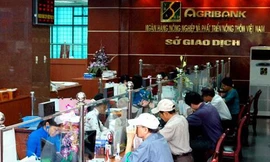 Bắt nguyên ủy viên Hội đồng Thành viên Agribank