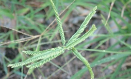 Bí quyết giữ cho thận luôn khỏe