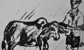 Minh họa: đỗ phấn