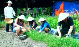 Khách Tây đóng tiền học làm nông dân ờ Sài Gòn