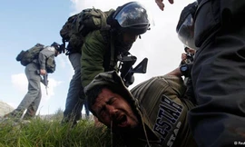 Binh sĩ Israel bắt giữ gần 80 người Palestine tại Bờ Tây (Ảnh: Reuters)