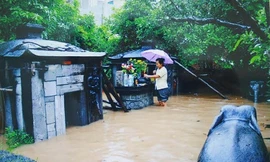 Xót xa di tích quốc gia hoang phế giữa lòng thủ đô