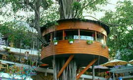 Quán cà phê trên cây độc đáo nhất Sài Gòn