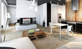 Căn hộ 50 m2 với hai tông màu đen trắng