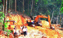 Cty Tân Phát cho xe mở đường chở gỗ của Cty Trường Thành. Ảnh: Nhuận-Hường