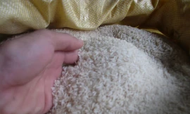 Nên nhờ người thân quen để lựa chọn được gạo ngon (ảnh minh họa)