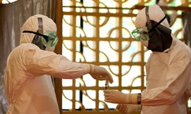 Hai đối tượng tung tin thất thiệt về dịch Ebola khai gì?