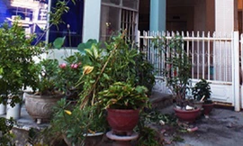 Người đàn ông tử vong dưới sân chung cư sau tiếng động lớn