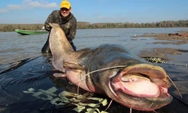 Hình ảnh con cá “khủng” vừa bắt được tại thành phố Pripyat 