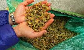 Ảnh minh họa Ảnh: VietQ.vn