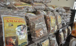 Phạt nặng cán bộ bán thuốc Ama Kông rởm 