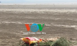 Cửa biển nơi cháu Hùng tắm và gặp nạn 