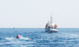 Tàu cá Việt Nam bị tàu Trung Quốc đâm chìm một cách vô nhân đạo 