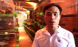 Kiếm bạc tỷ từ sở thích dạy chim hót