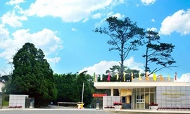 Đại học Đà Lạt