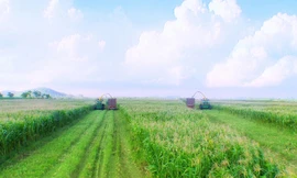 Tập đoàn TH đã đặt những viên gạch đầu tiên cho cuộc cách mạng ứng dụng công nghệ cao, quy mô lớn trong nông nghiệp