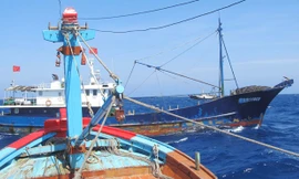 “Trâu xanh” 98003 đeo bám tàu cá Việt Nam như hình với bóng cả cuộc hải trình