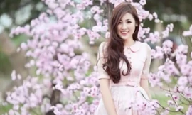 Hoa hậu Việt Nam 2014 - Hiện thực hóa giấc mơ Hoa hậu