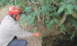 Giếng nước nơi chị Thuật ôm con tự tử. Ảnh: nld.vn