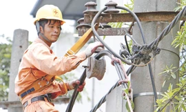 EVN cho DN vay với lãi suất trên dưới 2%/năm, sau đó vay lại của chính DN với lãi suất khoảng 17%/năm.Ảnh: Như Ý