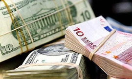 Sáu tháng mua được 10 tỷ USD dự trữ ngoại hối