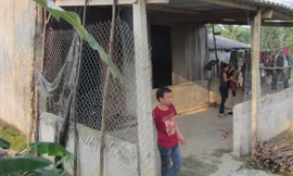 Ngôi nhà nghèo nàn của vợ chồng phu vàng Quang Văn Tùng. Ảnh: Quang Long