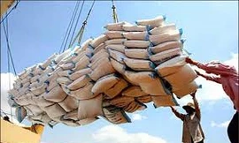 Cấp 19 nghìn tấn lương thực cứu đói