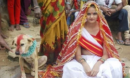 Cô gái 18 tuổi phải cưới chú chó theo chỉ dẫn của các già làng nhằm xua đuổi vận đen bám theo cô. Ảnh: DM