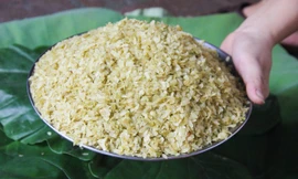 Bán hết đất, không có nghề nghiệp ổn định một số hộ dân ở Mễ Trì Hạ phải nhặt bạc lẻ từ nghề truyền thống. Ảnh: Ngọc Lan.