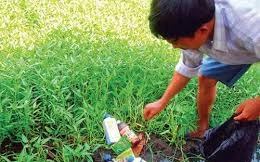 Bố mẹ giằng co, con 2 tháng tuổi nguy kịch vì thuốc diệt cỏ