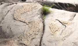 Bản đồ Việt Nam trên đá. (Ảnh: Nguyễn Đức Thọ/Vietnam+) 