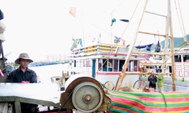 Dịch vụ hậu cần nghề cá vẫn còn nhiều khoảng trống. ảnh: L.V.S